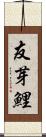 友芽鯉 Scroll