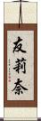 友莉奈 Scroll