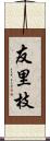 友里枝 Scroll