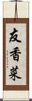 友香菜 Scroll