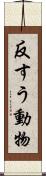 反すう動物 Scroll