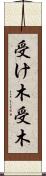受け木 Scroll