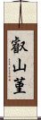 叡山菫 Scroll