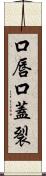 口唇口蓋裂 Scroll
