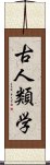 古人類学 Scroll