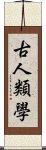 古人類學 Scroll