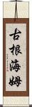 古根海姆 Scroll