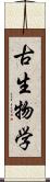 古生物学 Scroll