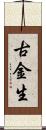 古金生 Scroll