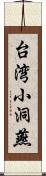 台湾小洞燕 Scroll