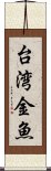 台湾金魚 Scroll