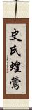 史氏蝗鶯 Scroll