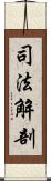 司法解剖 Scroll