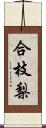 合枝梨 Scroll