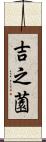 吉之薗 Scroll