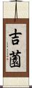 吉薗 Scroll