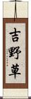 吉野草 Scroll