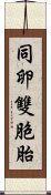 同卵雙胞胎 Scroll