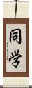 同学 Scroll