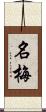 名梅 Scroll