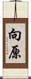 向原 Scroll