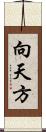 向天方 Scroll