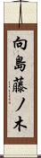 向島藤ノ木 Scroll