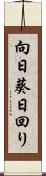 向日葵 Scroll