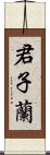 君子蘭 Scroll