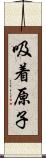 吸着原子 Scroll