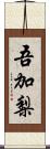 吾加梨 Scroll