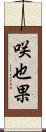 咲也果 Scroll