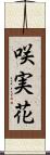 咲実花 Scroll
