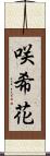 咲希花 Scroll
