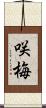 咲梅 Scroll