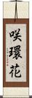 咲環花 Scroll