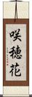 咲穂花 Scroll