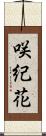 咲紀花 Scroll