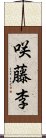 咲藤李 Scroll