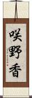 咲野香 Scroll