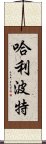 哈利·波特 Scroll