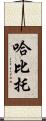 Habito Scroll