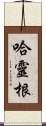 哈靈根 Scroll