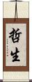 哲生 Scroll