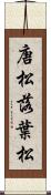 唐松 Scroll