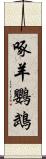 啄羊鸚鵡 Scroll