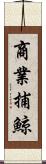 商業捕鯨 Scroll