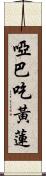 啞巴吃黃蓮 Scroll