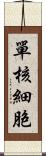 單核細胞 Scroll