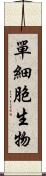 單細胞生物 Scroll